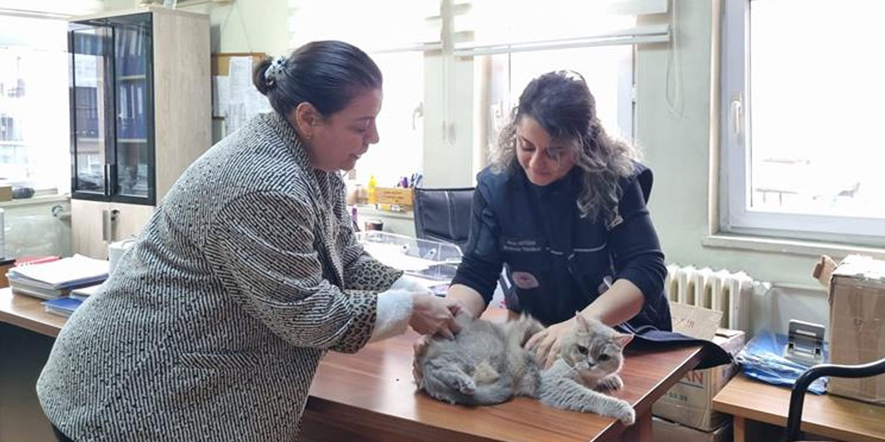 Rize’de Evcil Hayvan Sahiplerine Kritik Uyarı