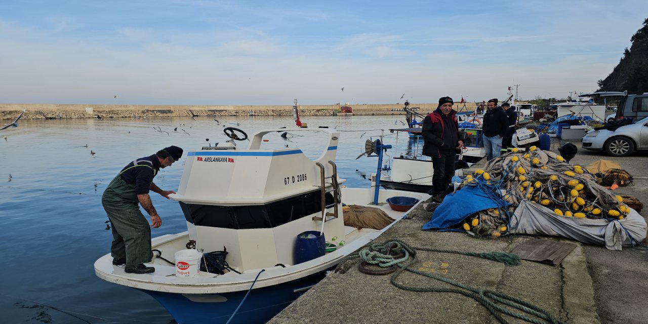 Balıkçılar, Karadeniz'de umduklarını bulamadı; hamsi dışında çeşit yok