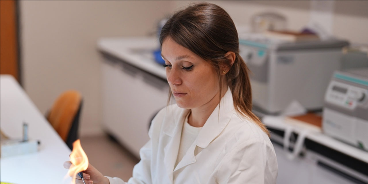 Türk bilim insanları kıyı korozyonu risklerini yapay zekayla belirleyecek