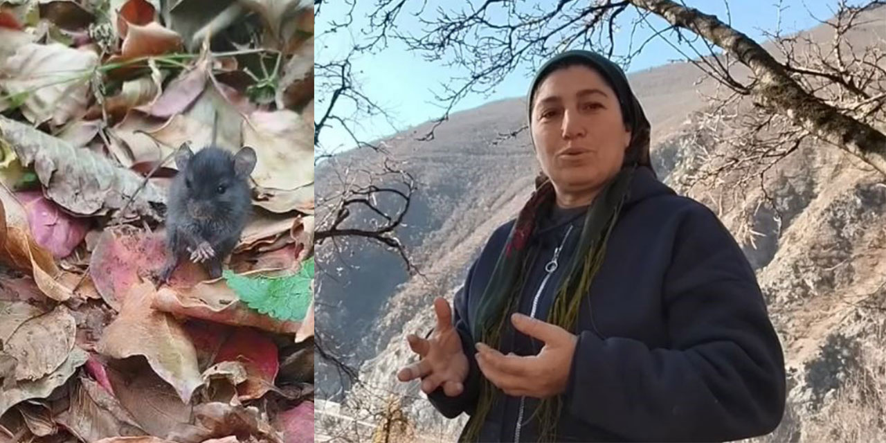 Tarla faresiyle kurduğu diyalog sosyal medyada ilgi çekti