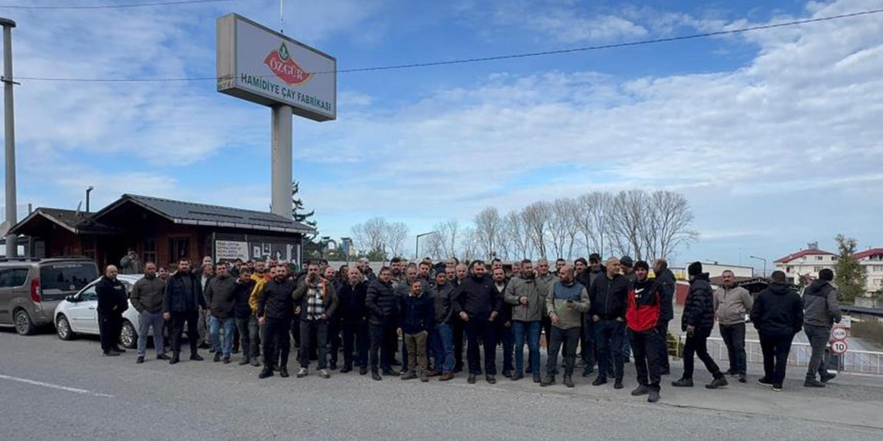 Rize'de satılan çay fabrikasının işçilerinin tazminat pazarlığı