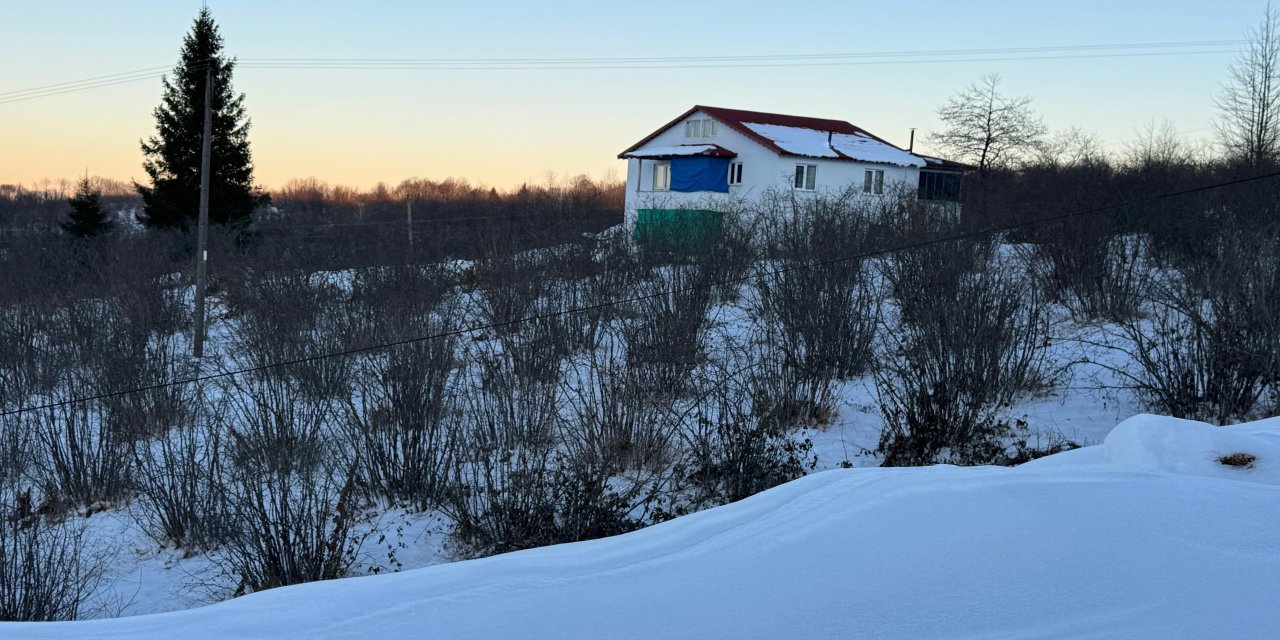 Yüksek kesimlerdeki kar yağışı fındığa yaradı