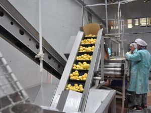 Bu Da Sandıklı Patates Püresi