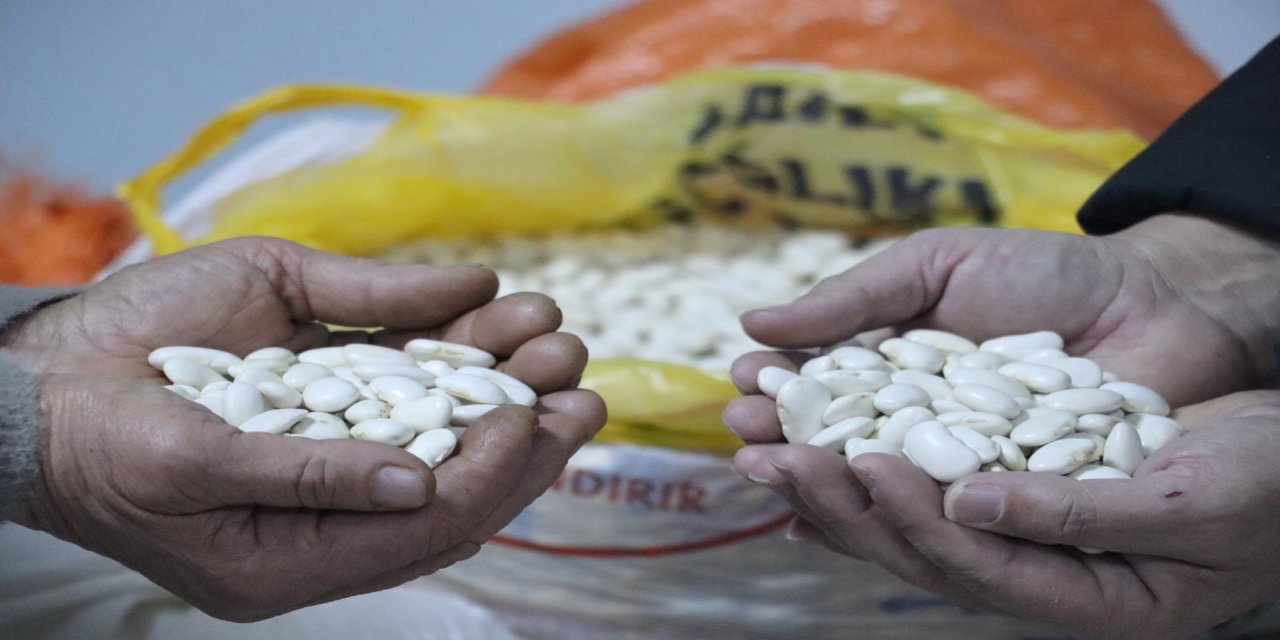 Tescilli Gürgentepe çoban fasulyesinde 'alım garantili üretim' modeli uygulandı