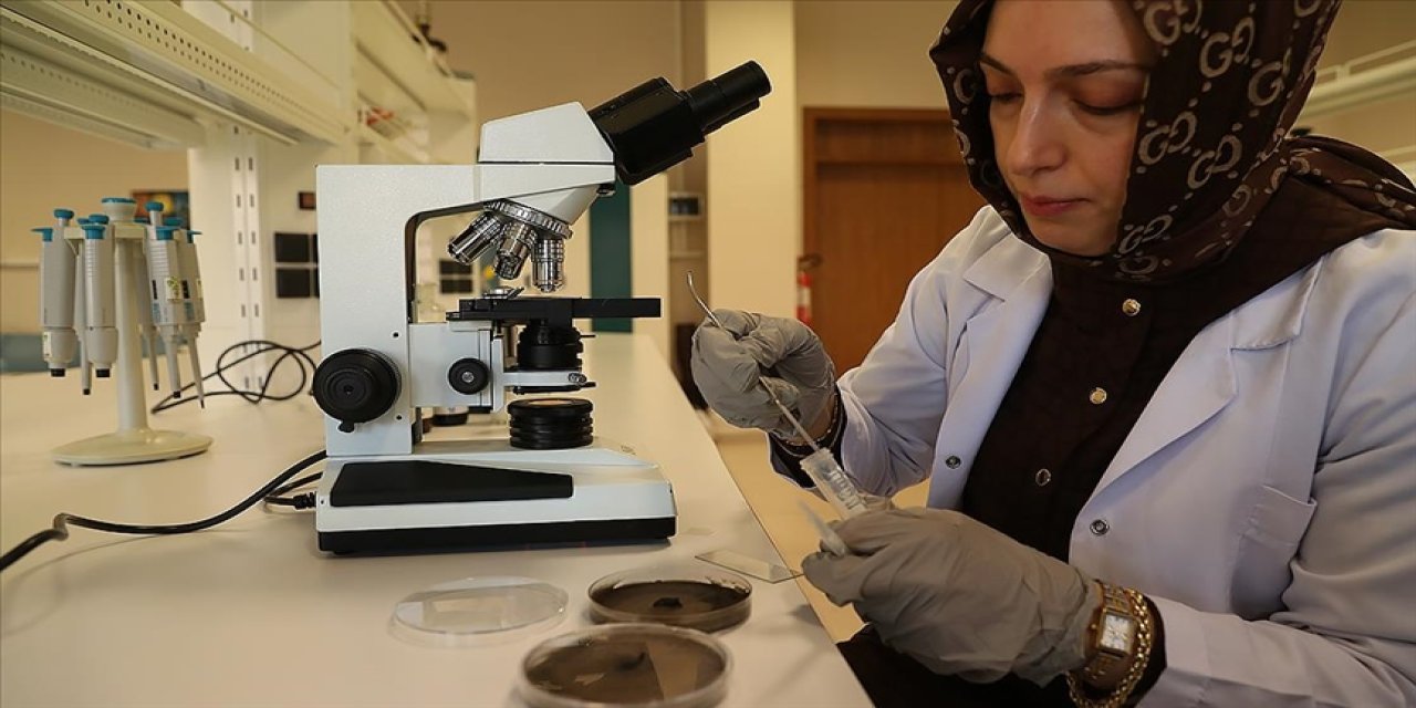 Organik içerikli solüsyon, tarımsal ürünlerin kalitesini artırıp raf ömrünü uzatıyor