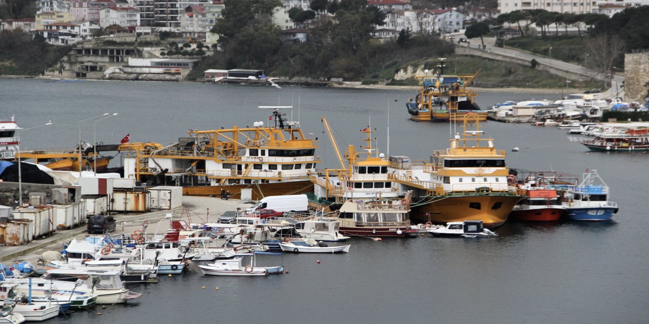 Fırtınadan kaçan yük gemileri Sinop doğal limanına sığındı