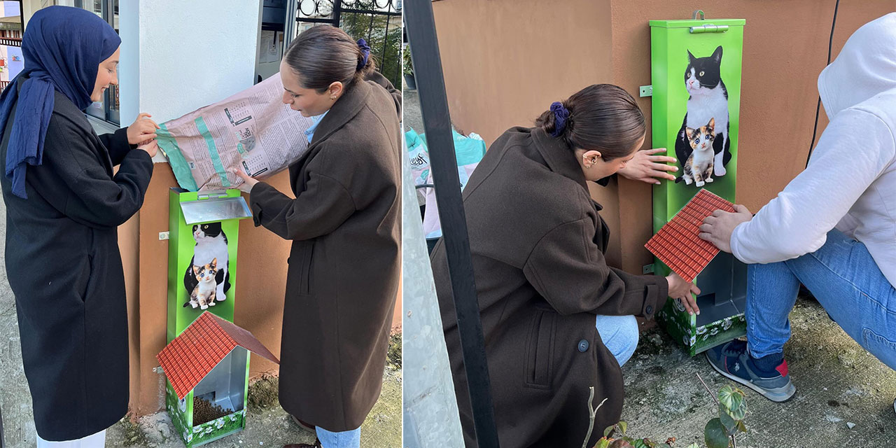 Rize’de Üniversiteli Gençlerden Anlamlı Hareket: “Patiye Bir Kap” Projesi Hayata Geçti