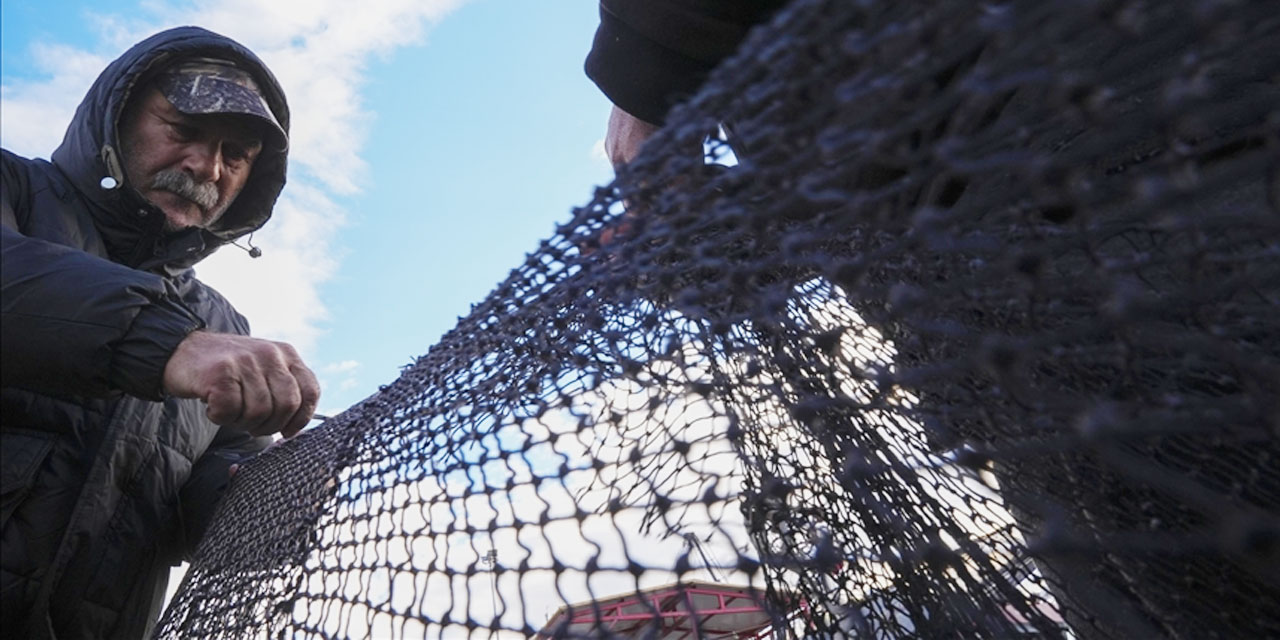 Yarısı tamamlanan av sezonunda hamsi ve sardalya yüz güldürdü
