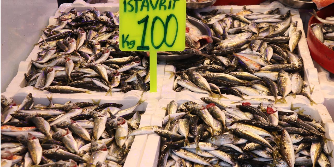 Rize'de istavritin kilogramı 100 liradan satılıyor