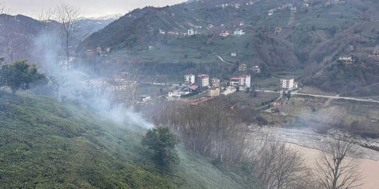 Rize'de çıkan örtü yangını kontrol altına alındı