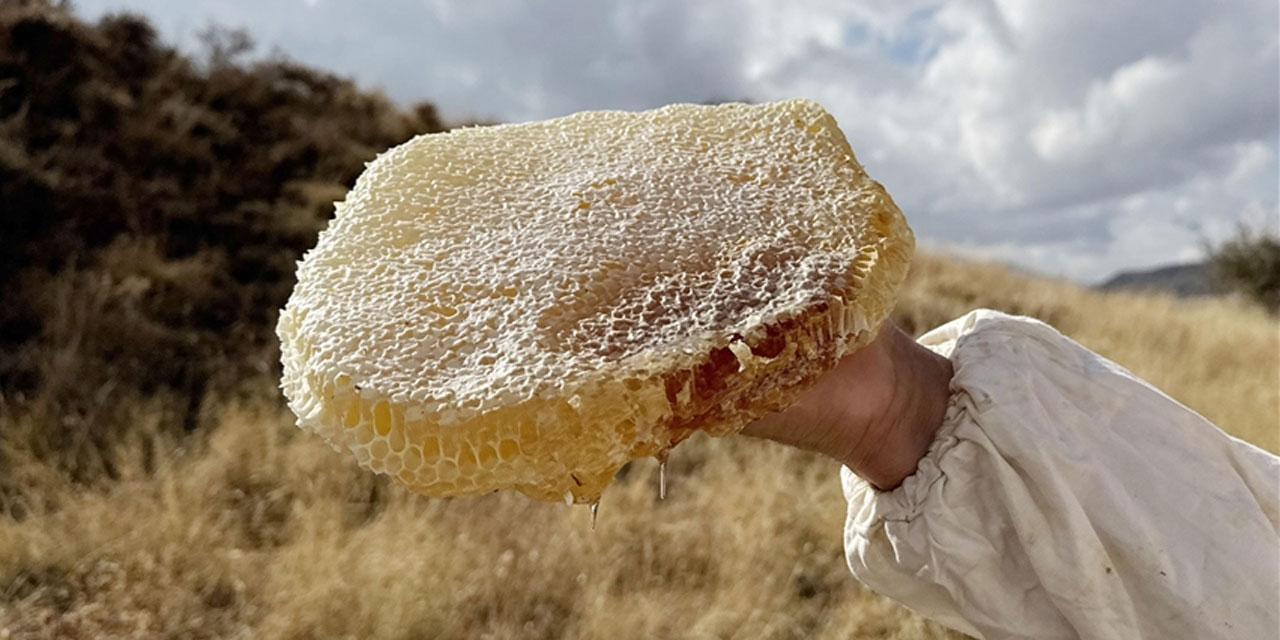 Ilgaz'da satılan bal dünyanın en pahalı balı olarak Guinness Rekorlar Kitabı'na girdi