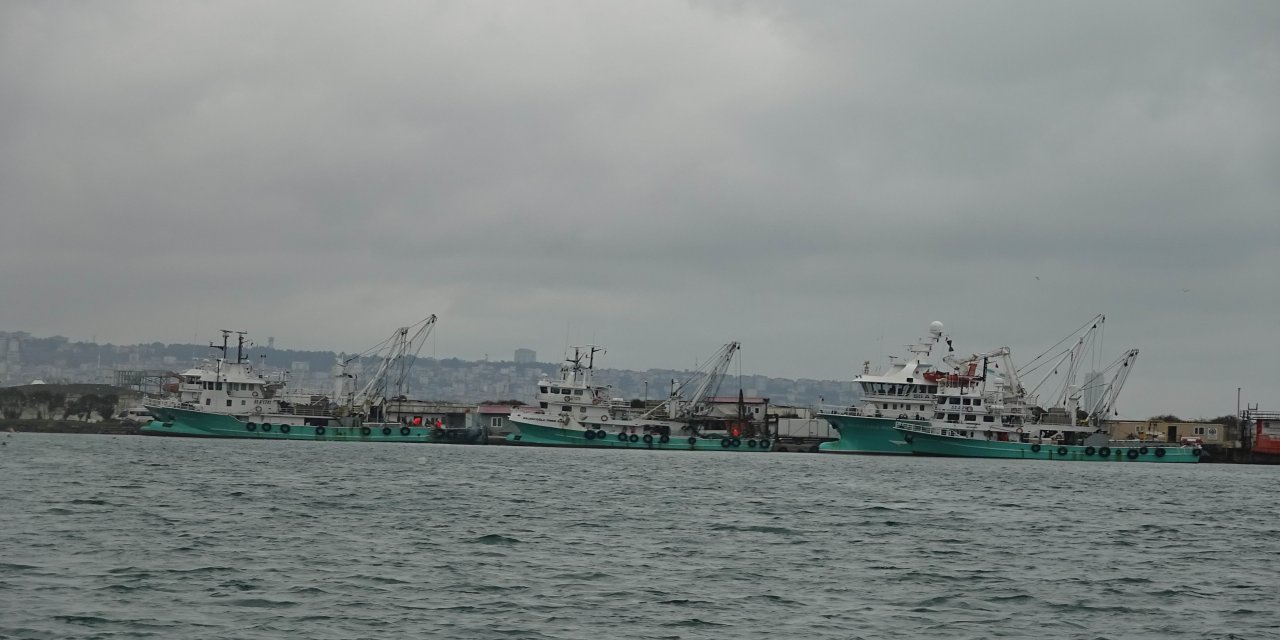 Türkiye'yi terk eden hamsinin yolu gözleniyor