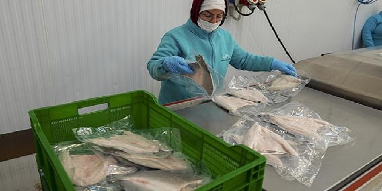 Karadeniz'in su ürünleri ihracatı geçen yıl 400 milyon doları aştı