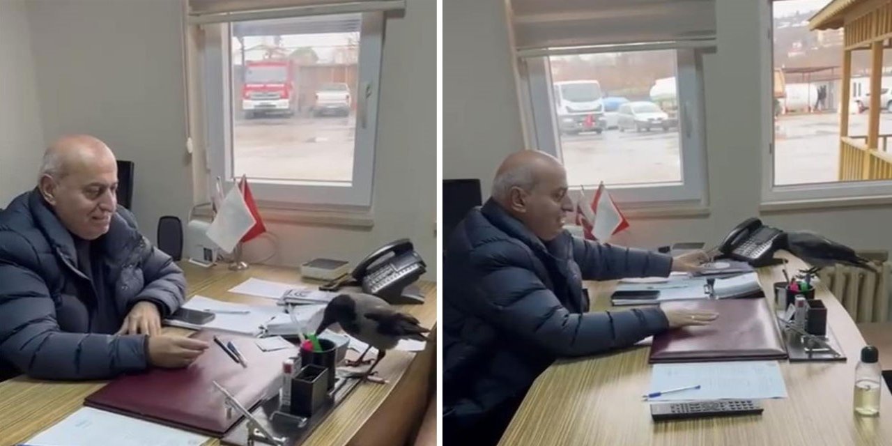 Trabzon'da belediye başkanının gülümseten karga diyaloğu