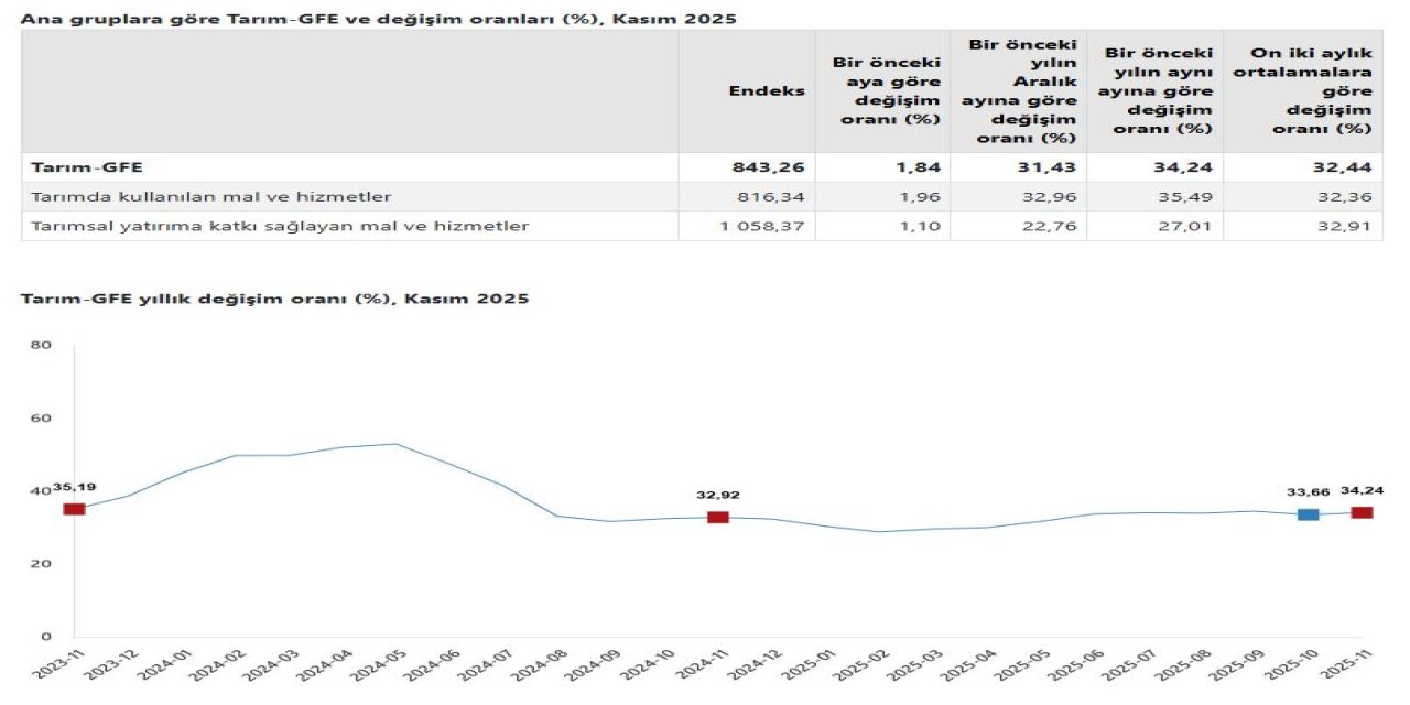 TÜİK: Tarımsal girdi fiyatları kasımda arttı