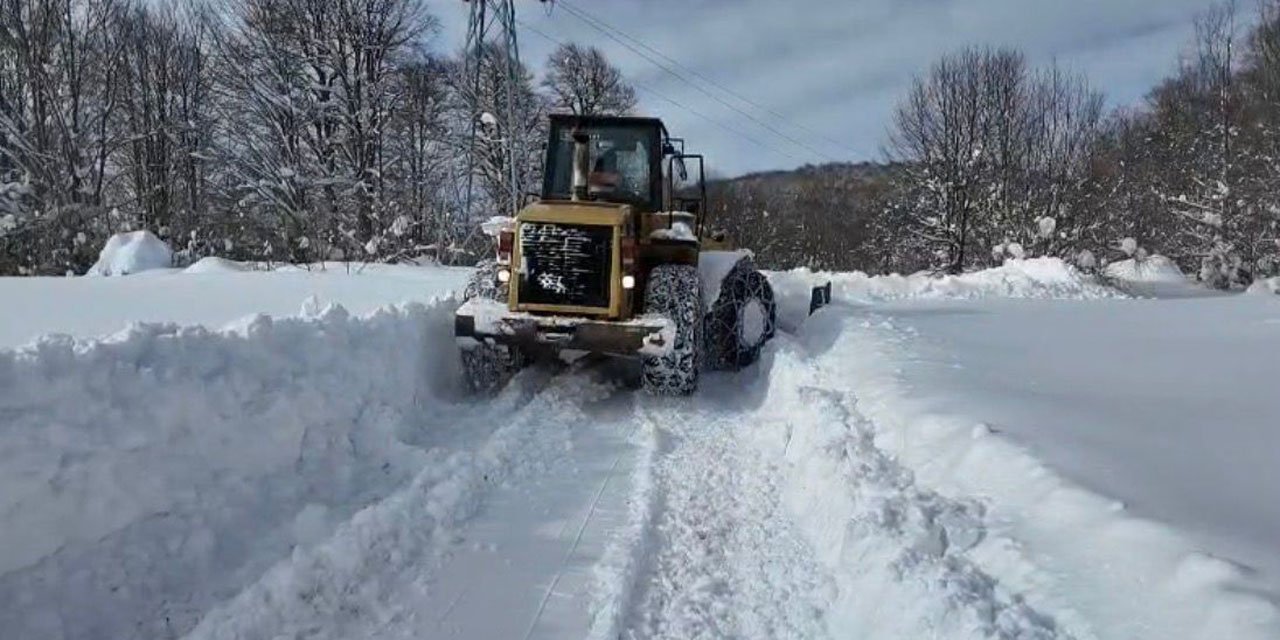 Ordu'nun yükseklerinde yoğun kar yağışı
