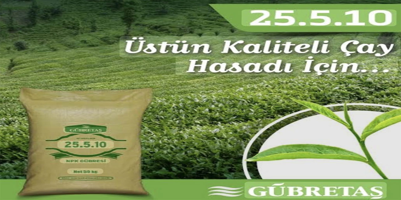 Çay Üreticisine Kötü Haber: Gübre Fiyatlarına %43 Zam!