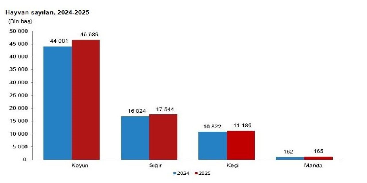 TÜİK: Büyükbaş sayısı yüzde 4,3, küçükbaş yüzde 5,4 arttı