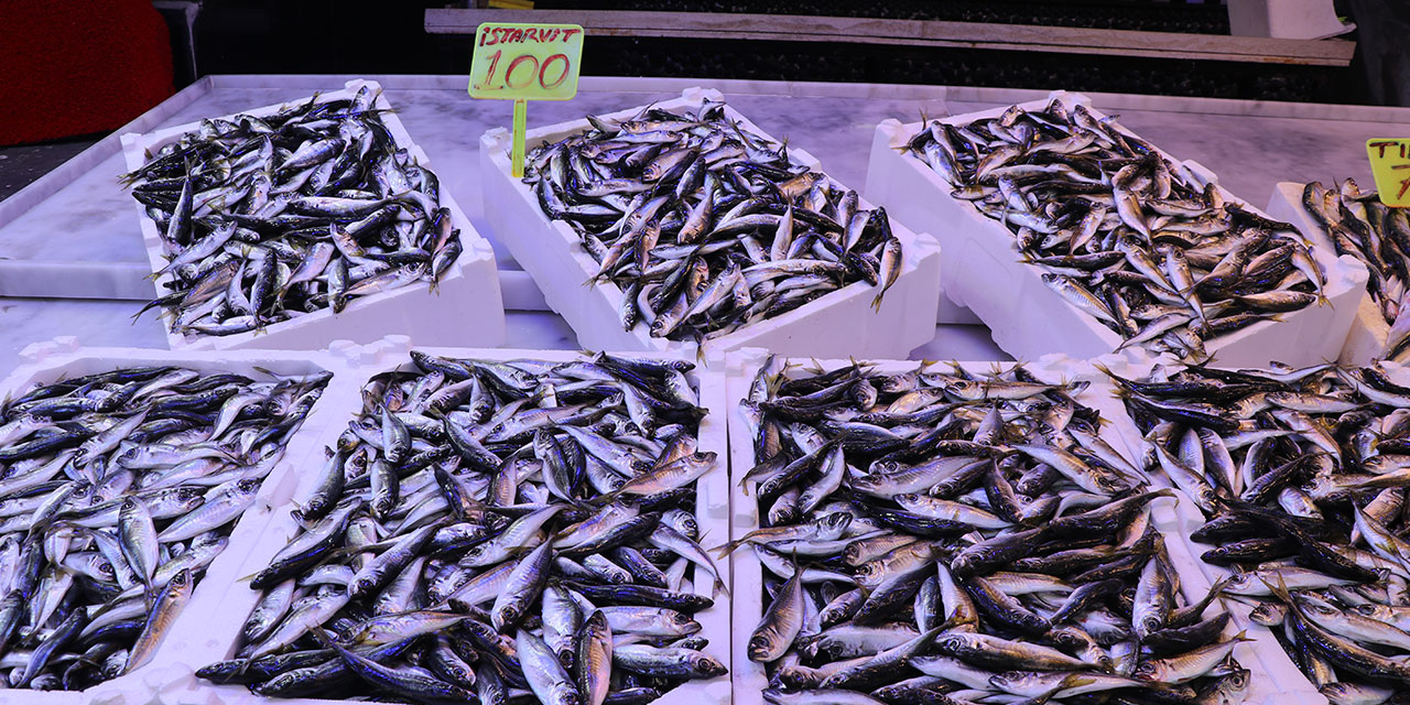 Rize'de istavritin kilogramı 100 liradan satışa sunuldu