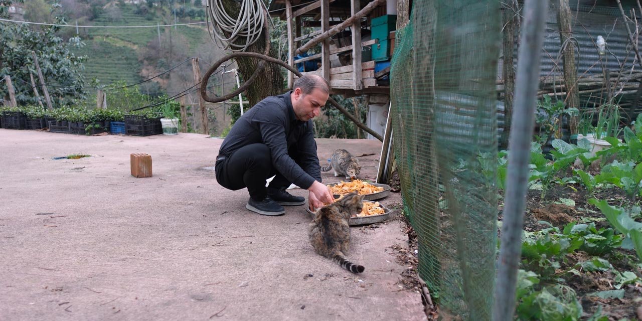 Rize'de babadan kalan 'anlamlı miras'; lokantada artan yiyecekleri sokak kedilerine götürüyor