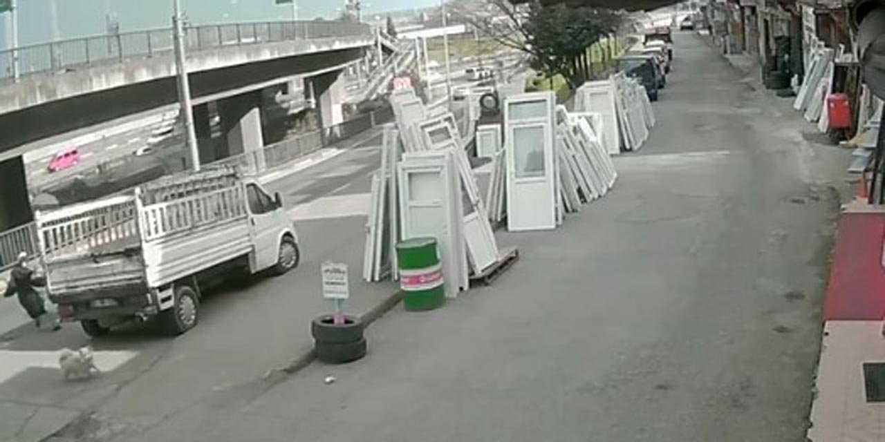 Köpekten kaçmaya çalışan üniversite öğrencisine belediye otobüsü çarptı