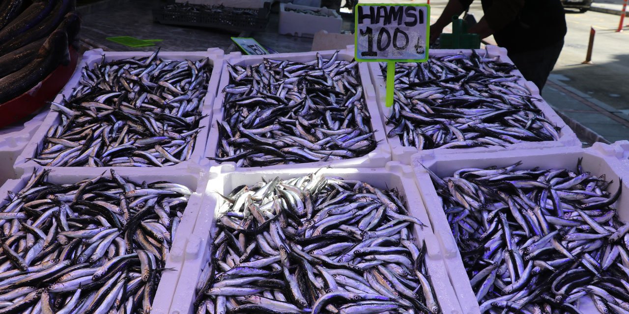 Rize'de istavrit ve hamsinin kilogramı 100 liradan satıldı