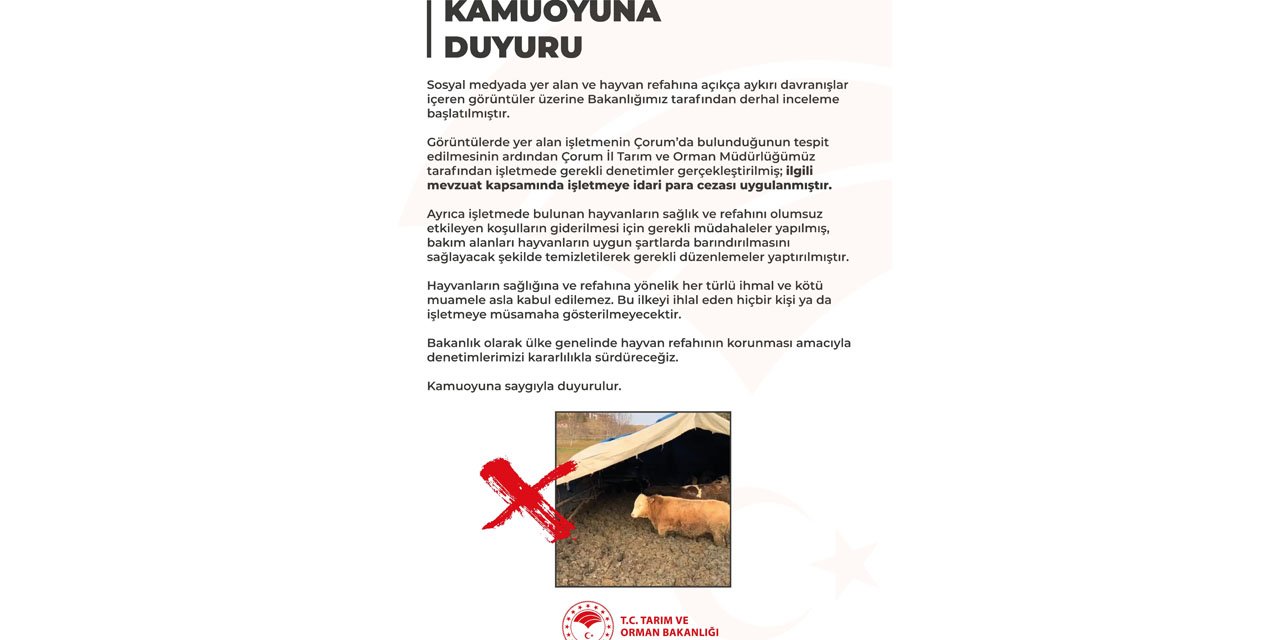 Bakanlıktan, işletmede hayvanlara kötü muameleye ceza