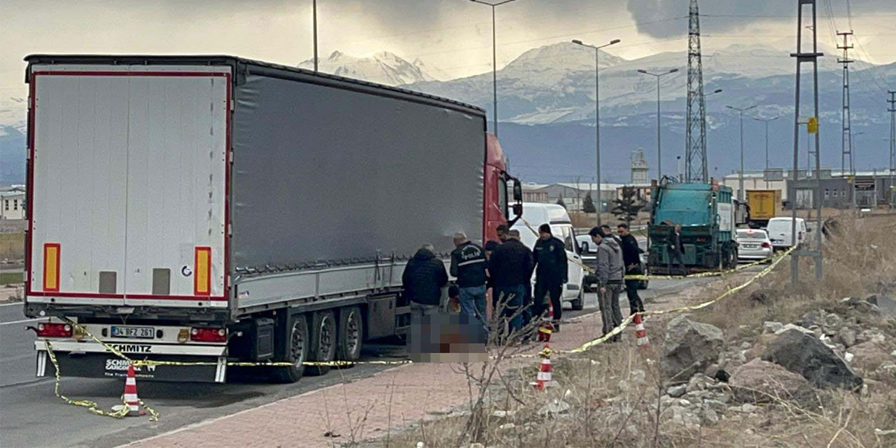TIR şoförü, kullandığı aracın yanında ölü bulundu