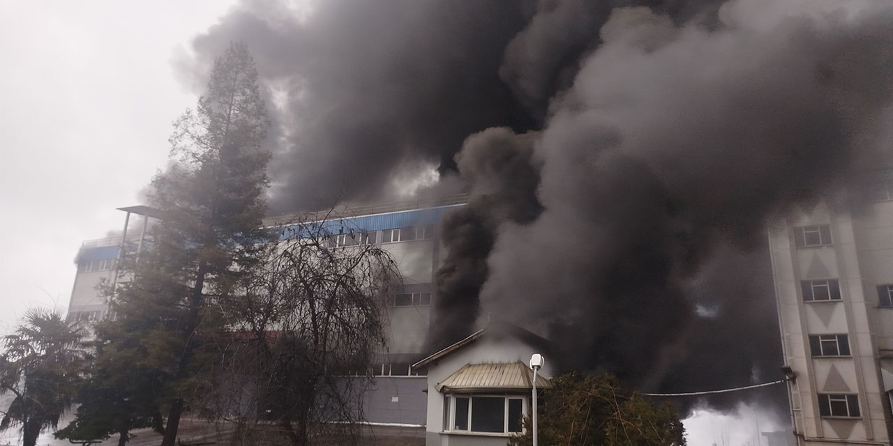 Trabzon'da fındık fabrikasında yangın