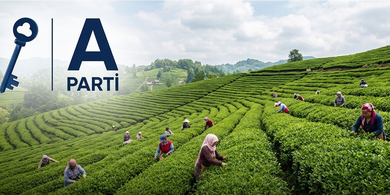 Anahtar Parti Rize Yaş Çaya 35 TL + Destekleme Talep Etti