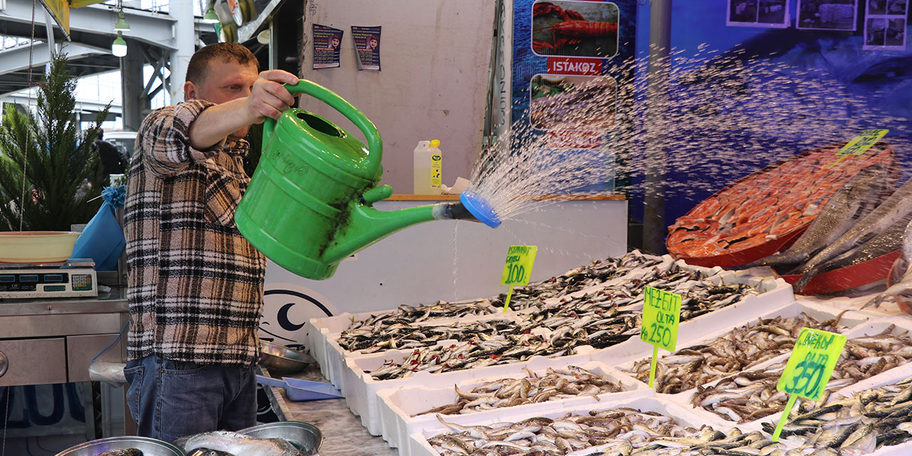 Rize'de istavritin kilogramı 200 liradan satılıyor