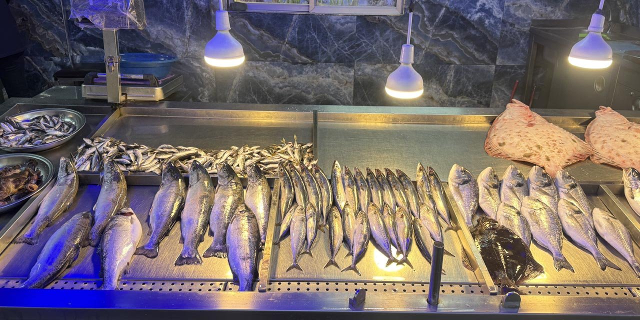 Palamudun üzdüğü Karadenizli balıkçıları hamsi mutlu etti