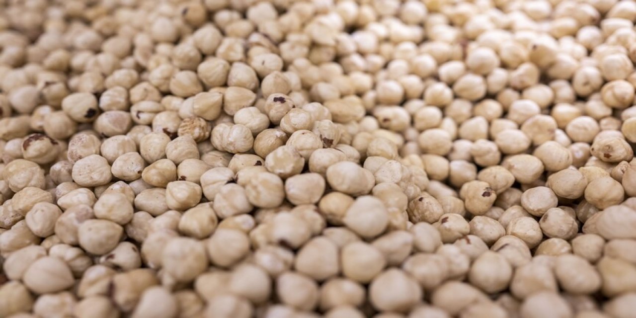 Doğu Karadeniz'den yılın ilk çeyreğinde 379 milyon dolarlık fındık ihracatı