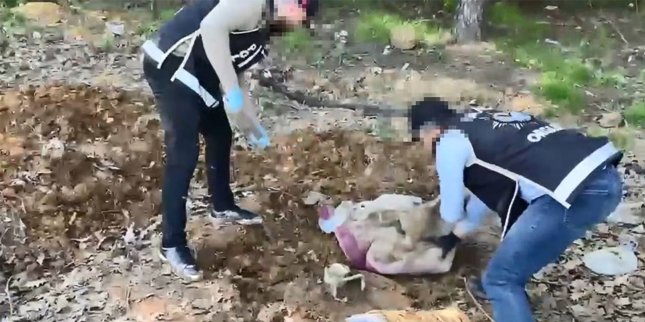 Pendik'te düzenlenen operasyonda toprak altındaki depoda binlerce silah parçası bulundu