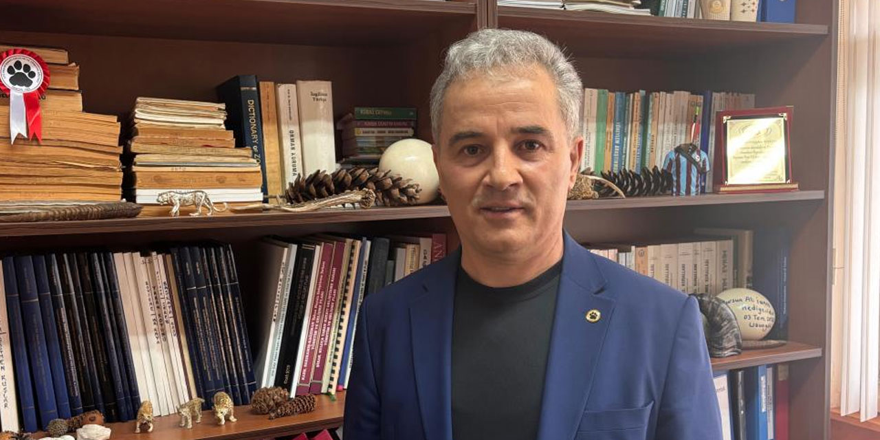 Kış uykusu bitti, ayı istilası başladı