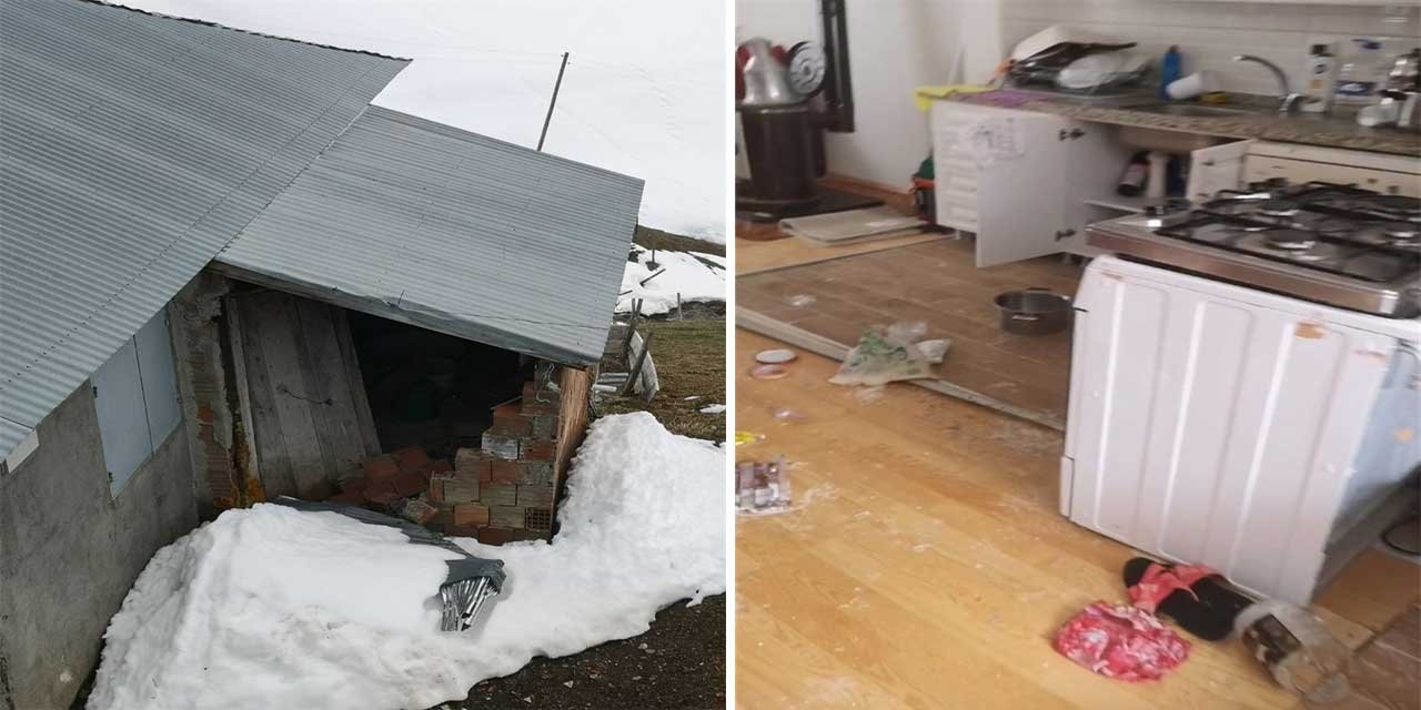 Aç kalan ayılar, pencereden girdiği yayla evini talan etti
