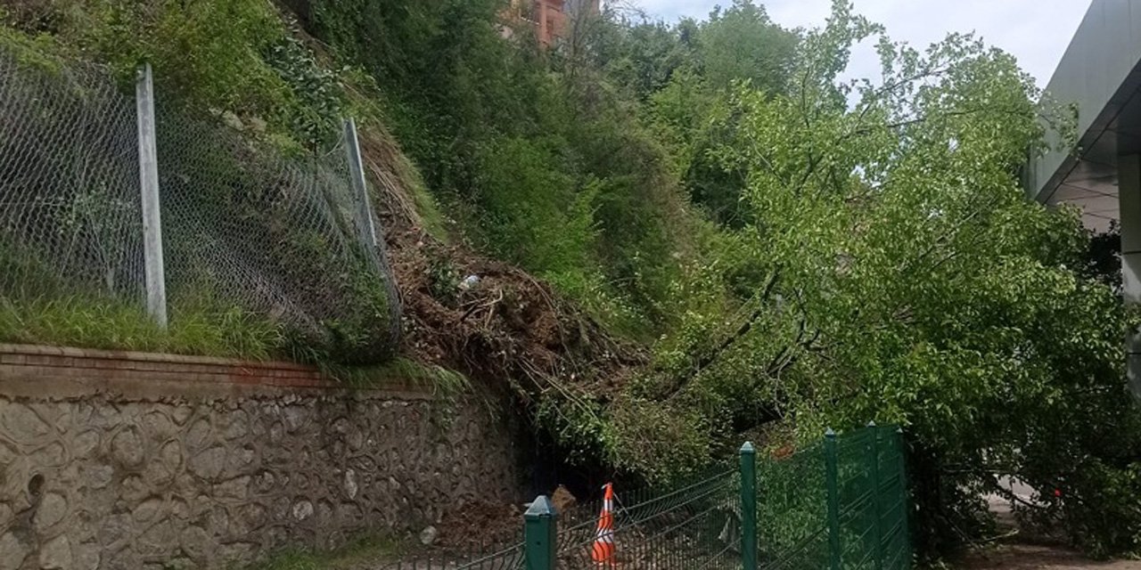 Terminal bölgesinde heyelan; yıkılan ağaç, peronlara devrildi