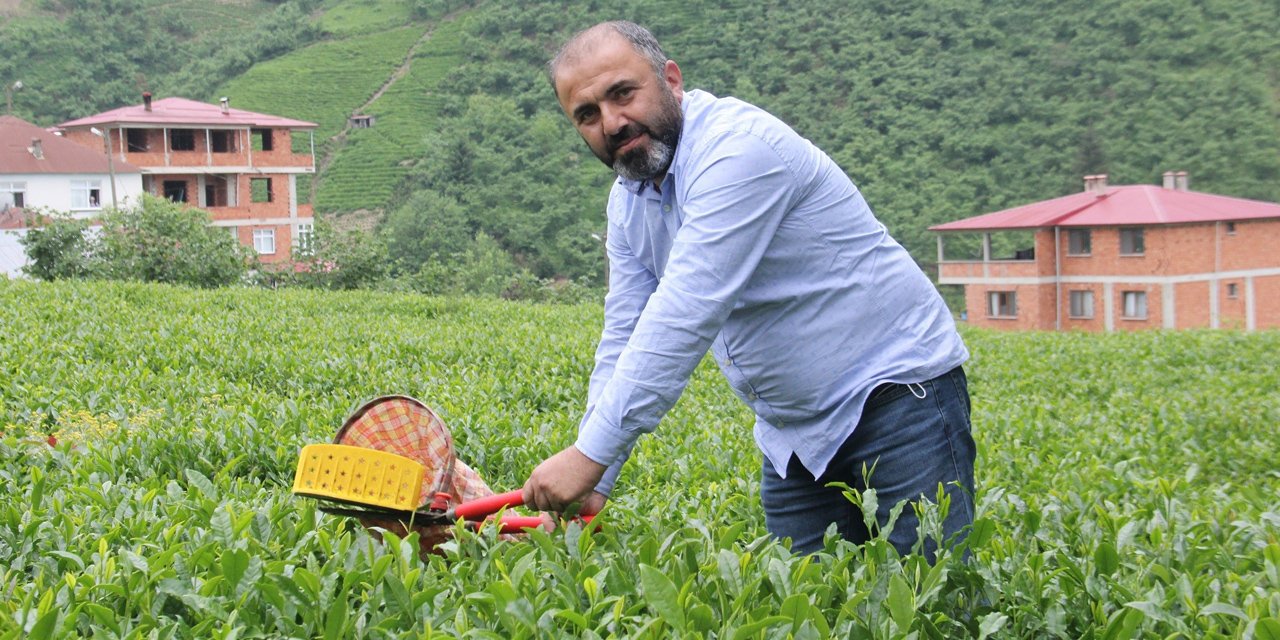 Çay üreticileri yaş çay alım fiyatındaki artış sonrası kuru çaya da zam bekliyor