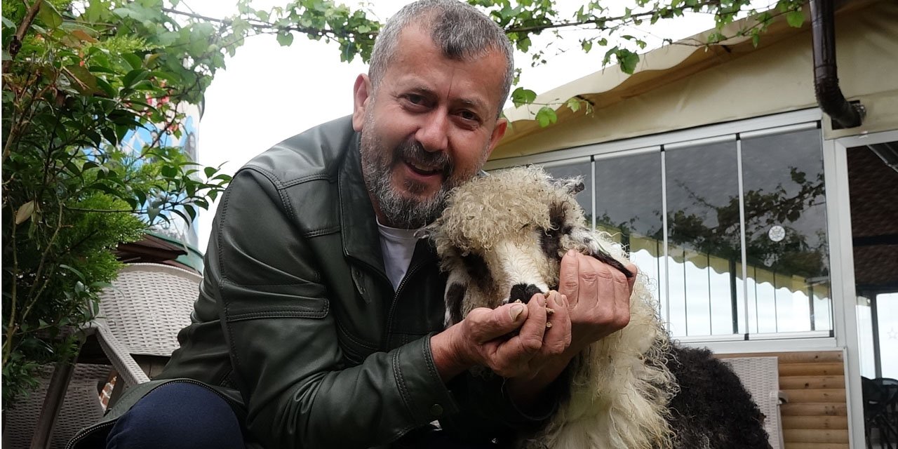 Özenle büyüttüğü kuzusu 'Abbas' yoldaşı oldu