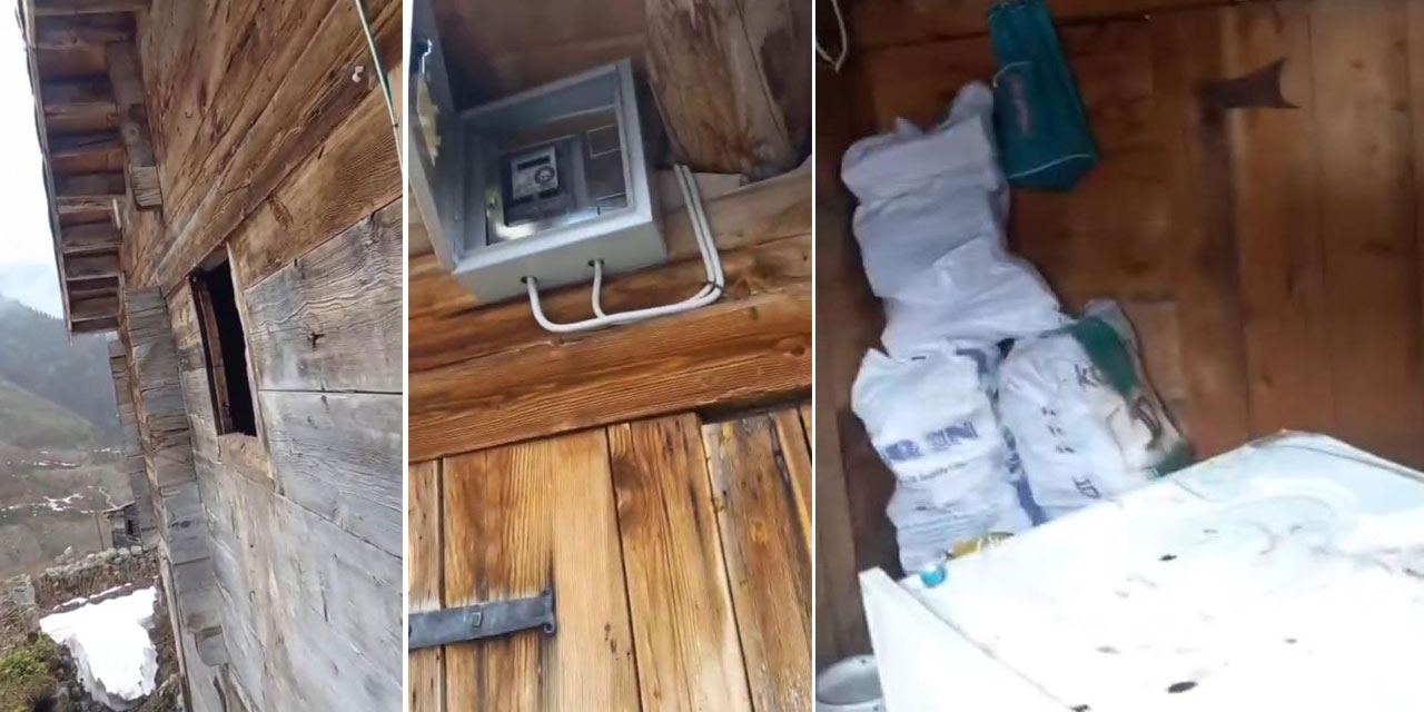 Anahtarın yerini tarif etti, evine giren ayıya 