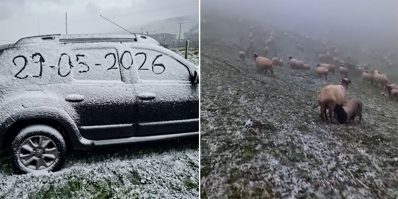 Mayıs ayında Ordu'nun yaylalarına kar yağdı