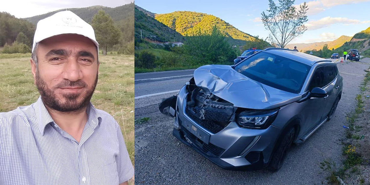 Gümüşhane'de otomobilin çarptığı bir kişi hayatını kaybetti