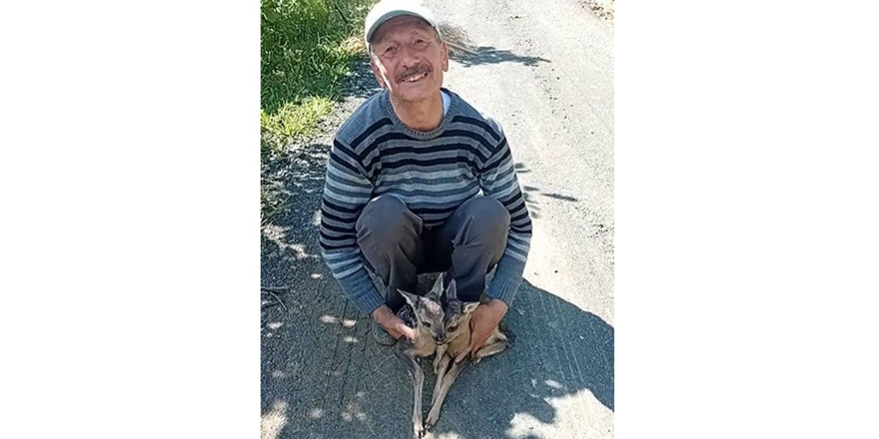 Yolda gördüğü karaca yavrularına Arçil ve Şota adını verdi