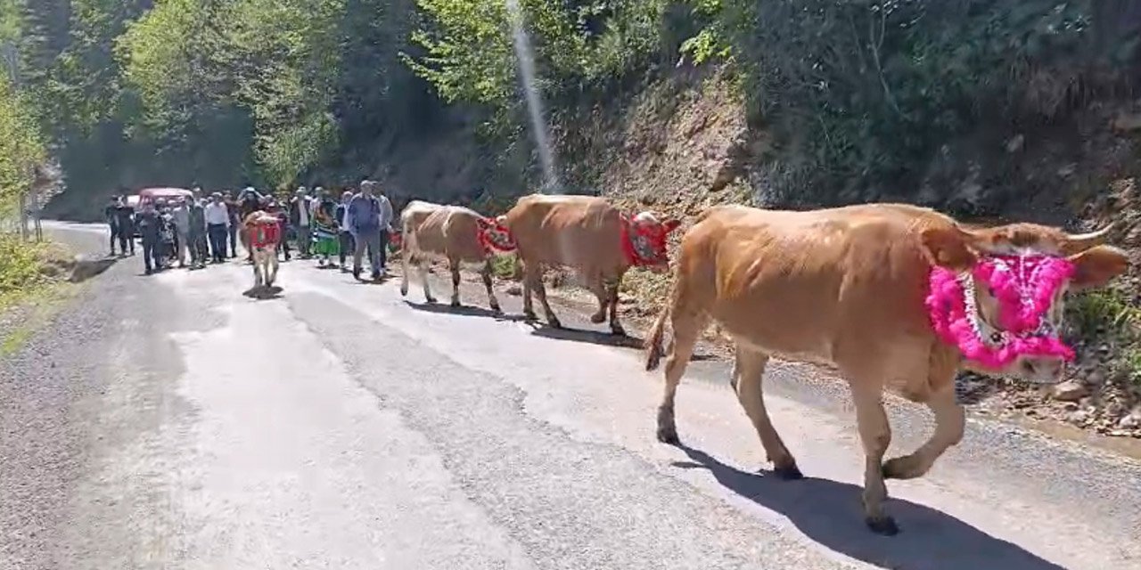 Trabzon'da renkli yayla göçü geleneği
