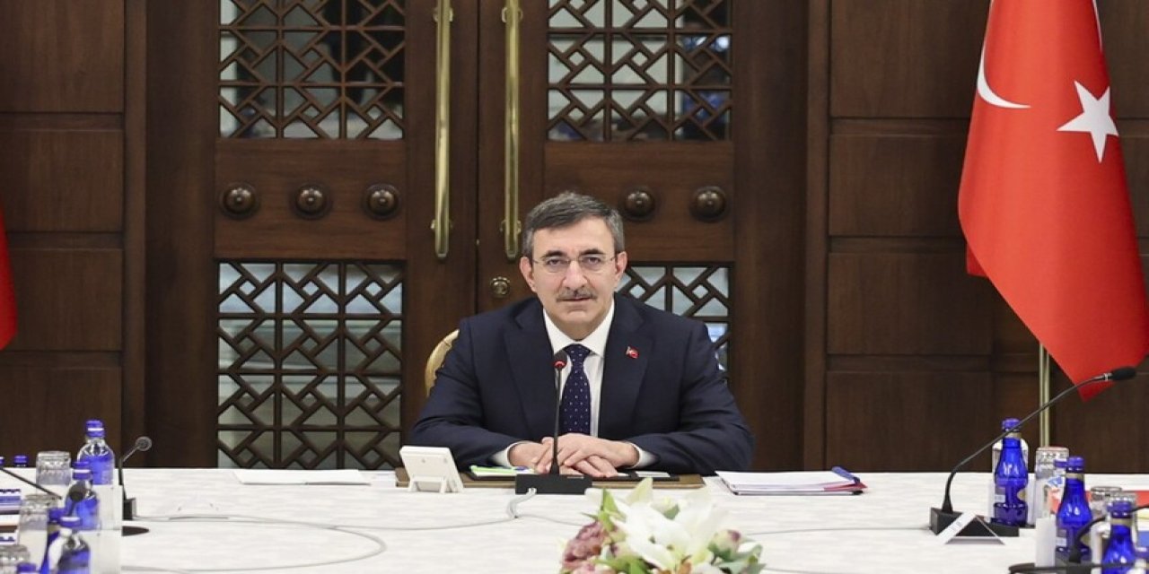 Ekonomi Koordinasyon Kurulu, Cumhurbaşkanı Yardımcısı Yılmaz