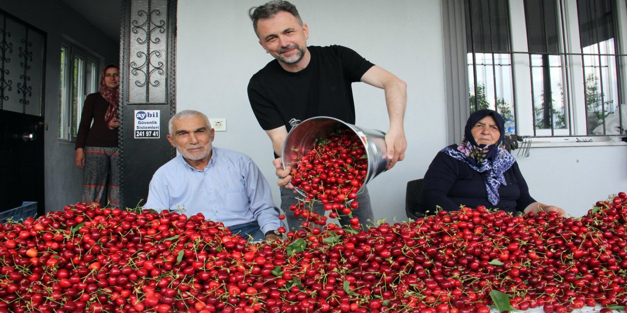 Türkiye'de kiraz mevsimi; Avrupa'ya ihracat başladı