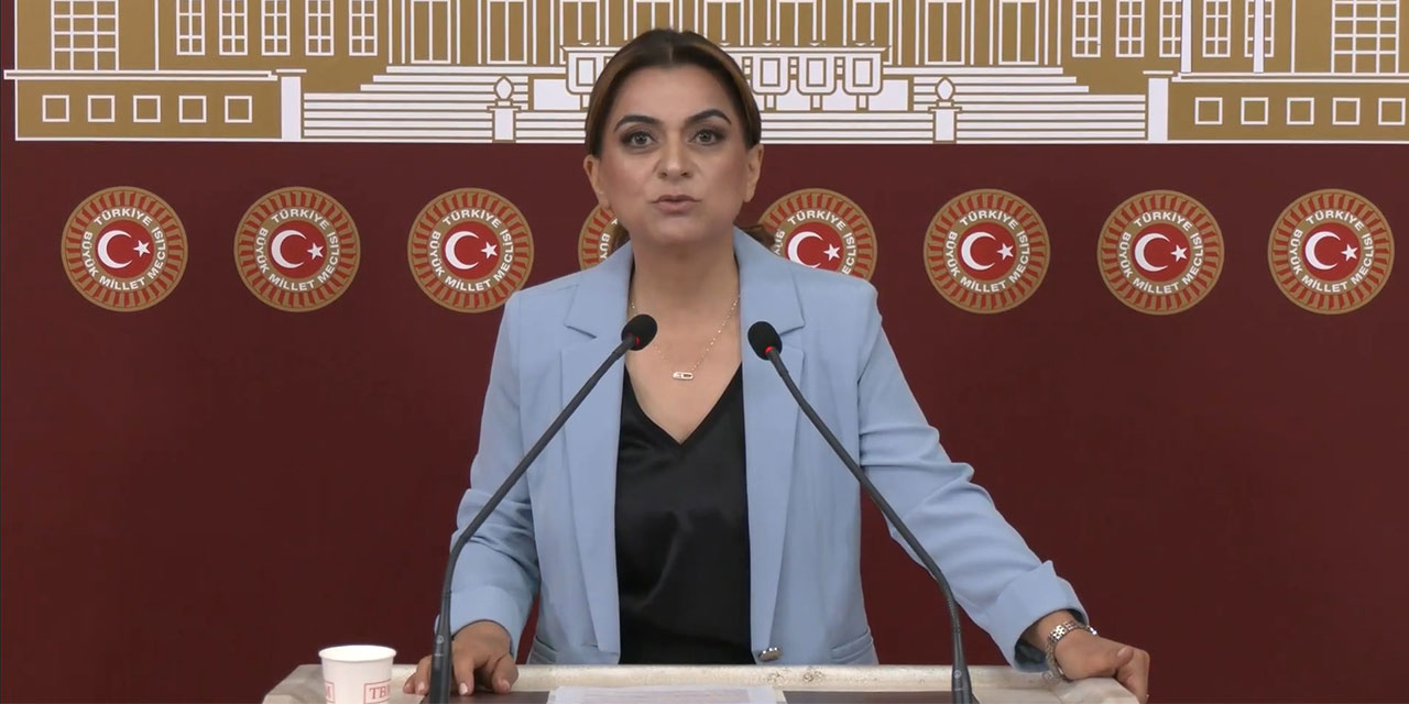 DEM Parti'li Koçyiğit: Barışın hukuksal bir güvenceye ihtiyacı var