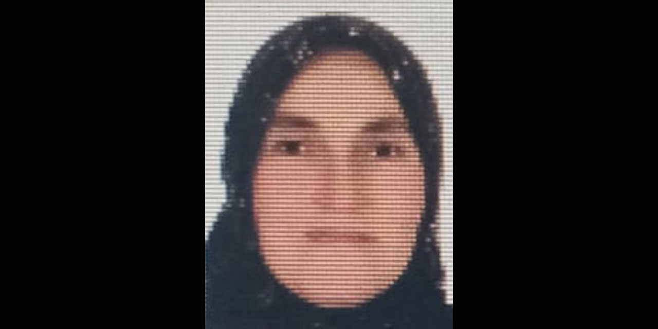 Ordu’da ineğin teptiği kadın hayatını kaybetti