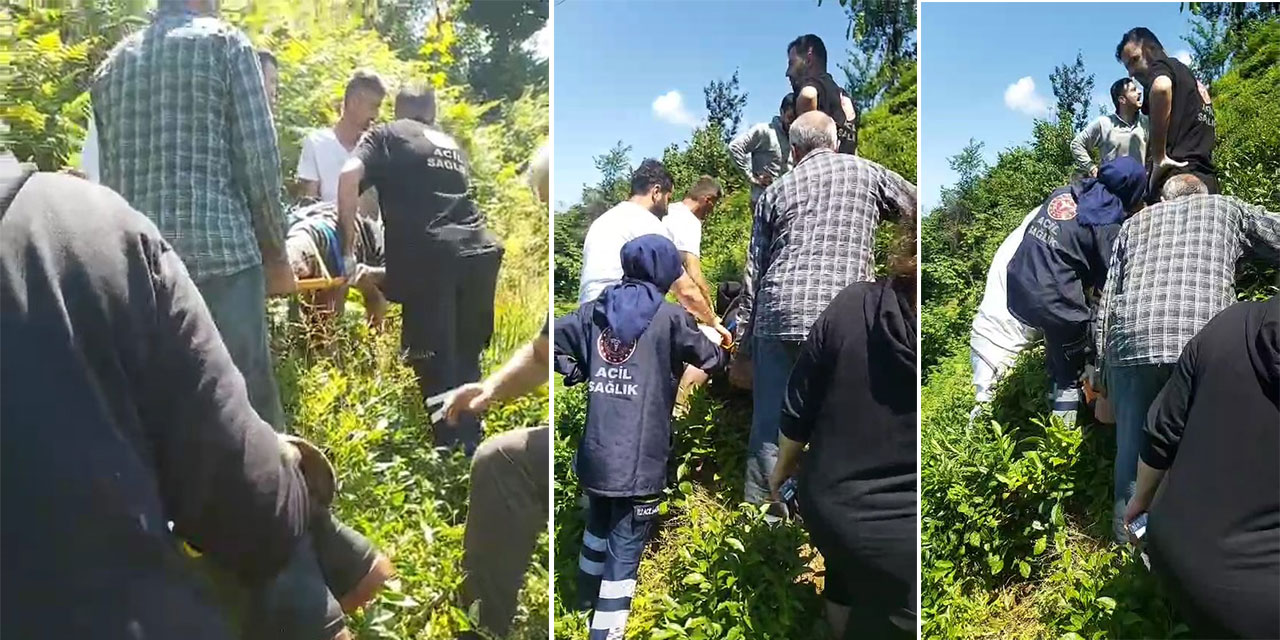 Rize'de kiraz toplamak için çıktığı ağaçtan düştü
