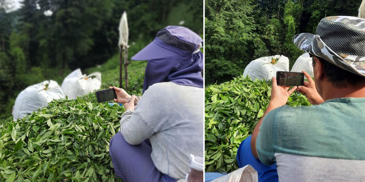 Rize'de çay bahçesinde milli maç heyecanı